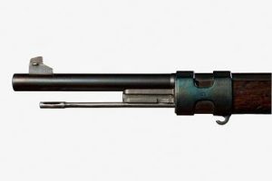Rust Blue Swiss Formula on Czech 98-22 Mauser barrel